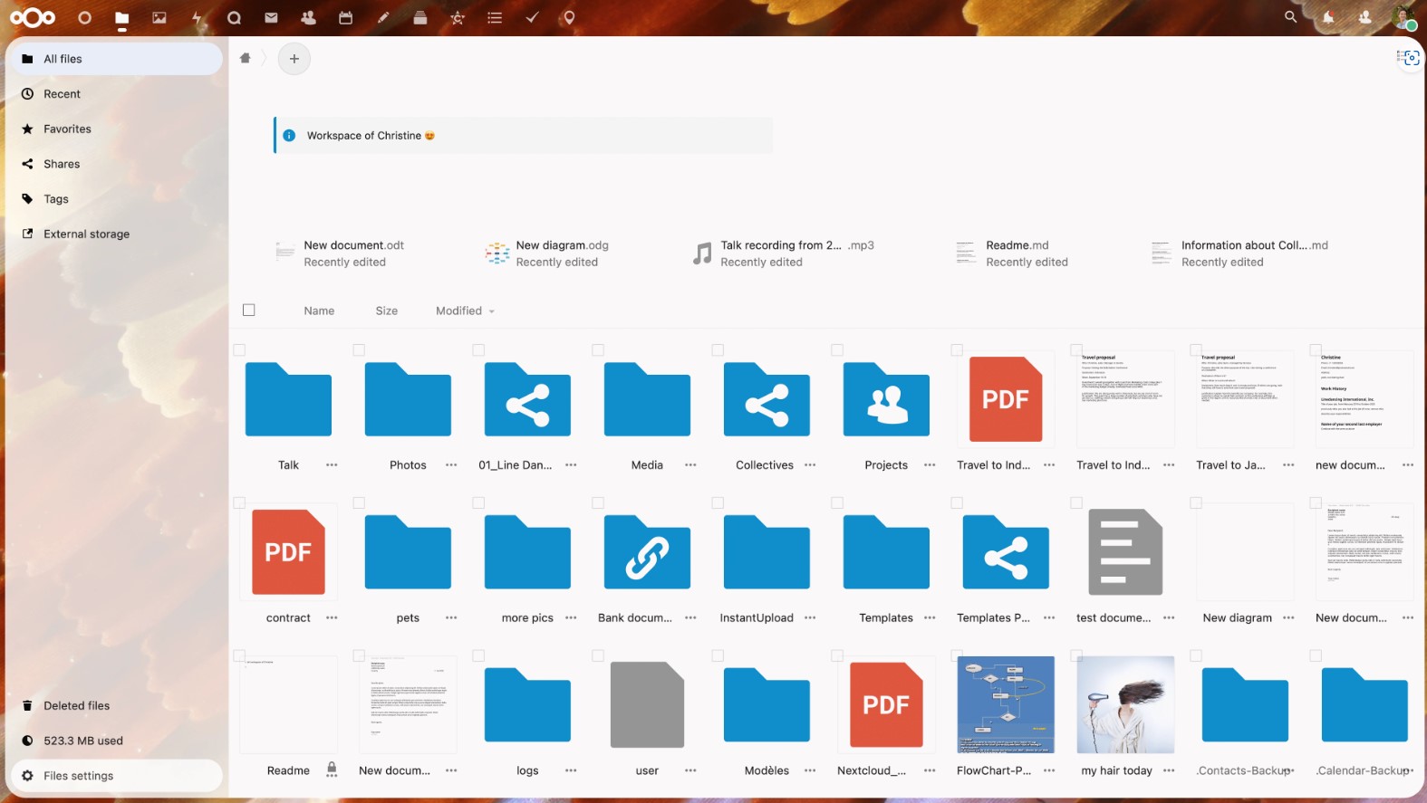 Nextcloud 25 File View