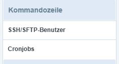 Server Panel Seitenmenü Kommandozeile